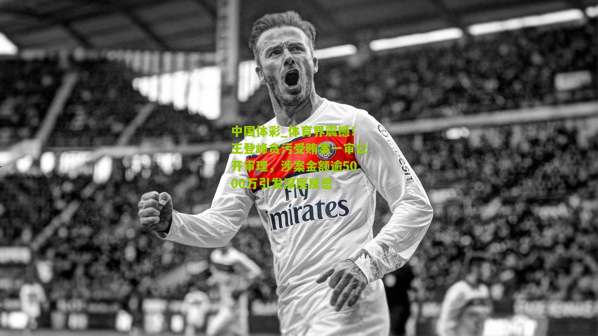 体育界震撼！王登峰贪污受贿案一审公开审理，涉案金额逾5000万引发深层反思