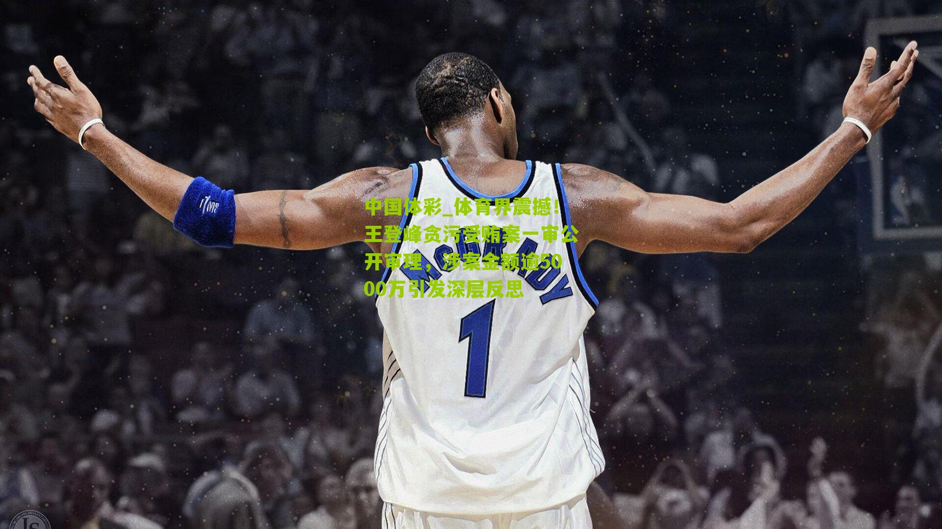 体育界震撼！王登峰贪污受贿案一审公开审理，涉案金额逾5000万引发深层反思