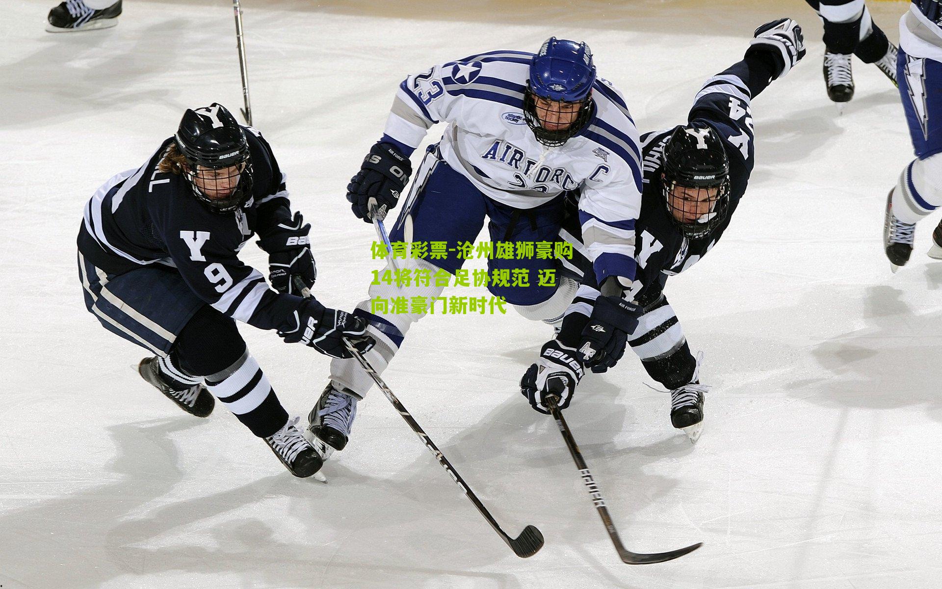 沧州雄狮豪购14将符合足协规范 迈向准豪门新时代