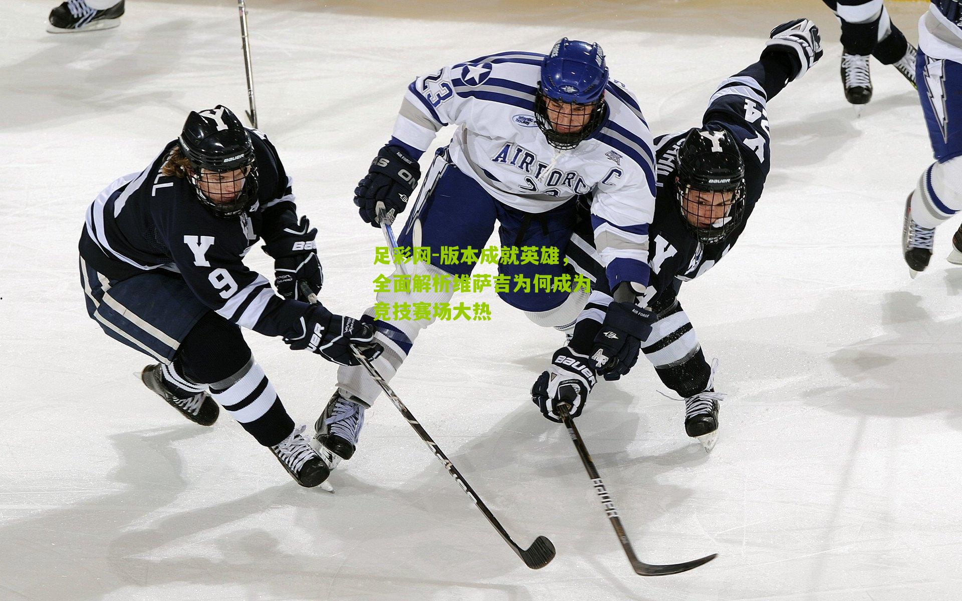 版本成就英雄,全面解析维萨吉为何成为竞技赛场大热