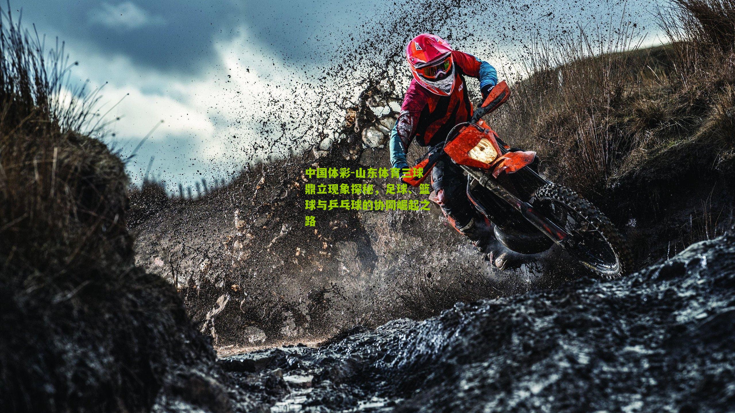 山东体育三球鼎立现象探秘，足球、篮球与乒乓球的协同崛起之路