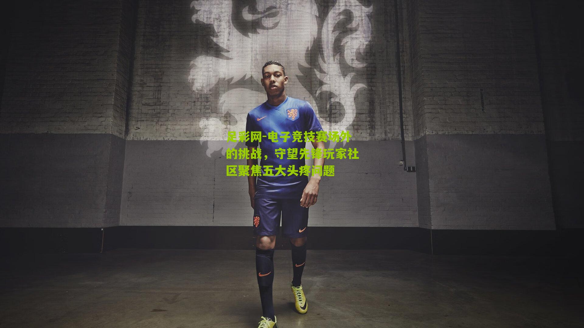 电子竞技赛场外的挑战，守望先锋玩家社区聚焦五大头疼问题